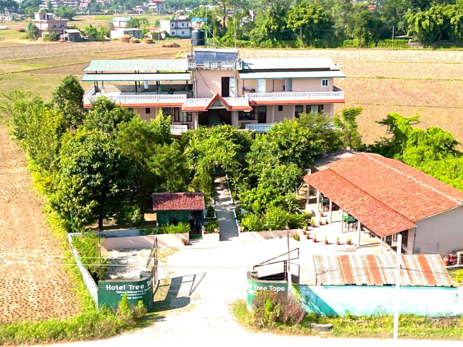 Hotel Tree Tops- A Serene Friendly Hotel In Sauraha Chitwan Exterior photo